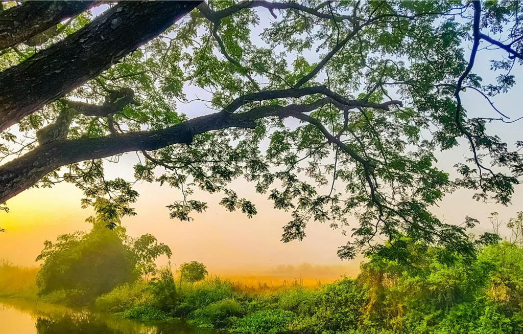 Accompagnemrnt chrétien Gestalt-thérapie